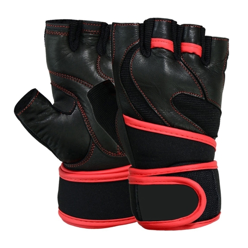 Fitness Gloves